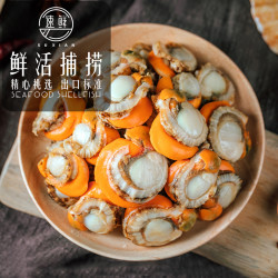 SuXian 速鲜  活剥鲜活带黄大号冷冻扇贝肉  500g