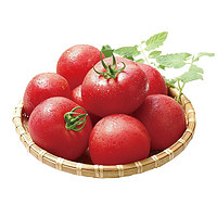 云依禾农庄 新鲜西红柿 2.5kg
