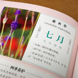 《健康爱家系列·新手四季养花》