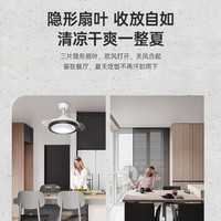 艾美特(Airmate)电风扇/隐形风扇灯/led餐厅美式吊灯/卧室客厅欧式灯具 FZD4207R