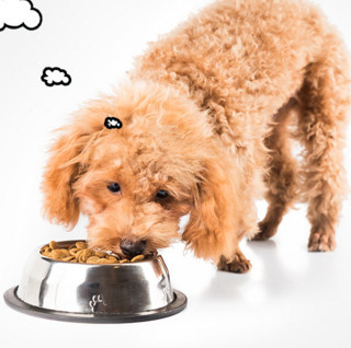 Bile 比乐 原味鲜系列 低敏无谷贵宾成犬狗粮 1.5kg