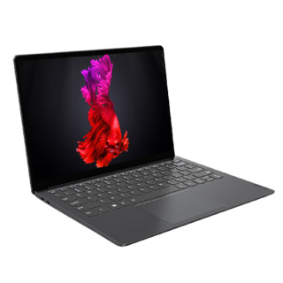 Lenovo 联想 小新Pro 13 2020款 锐龙版 13.3英寸 轻薄本 深空灰(锐龙R5-4600U、核芯显卡、16GB、512GB SSD、2.5K、IPS）