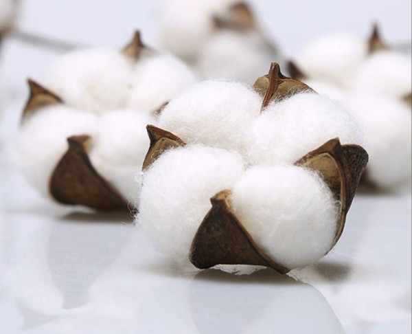 小编精选佳佰100新疆长绒棉60s高支高密四件套只要219元