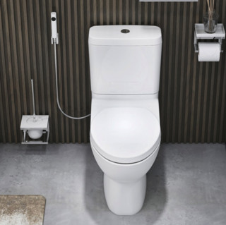 KOHLER 科勒 瑞琦系列 K-3991T-S2-0 静音式马桶 305mm坑距