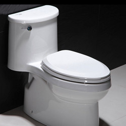 KOHLER 科勒 K-5171T 艾黛儿系列 裙包式马桶 305mm