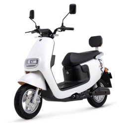 Luyuan 绿源 小龟王 ZC-MEP 电动踏板车