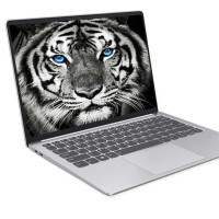 Lenovo 联想 小新 Pro13 2021款 酷睿版 13.3英寸笔记本电脑（i5-1135G7、16GB、512GB、MX450、2.5K、100%sRGB）