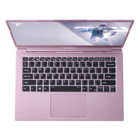 ThundeRobot 雷神 911MixBook Air 14英寸笔记本电脑（i7-10510U、16GB、1TB SSD、100%sRGB）烟熏粉
