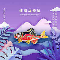 山川风物/设计师原创科普徽章胸针路亚火山鳑鲏五彩鱼