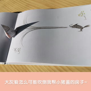 《书里书外的三只小猪》  颠覆经典立体玩具书