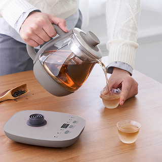 Bear 小熊 煮茶器黑茶煮茶壶家用自动蒸茶器养生壶办公室小型普洱泡茶壶 ZCQ-A08H2