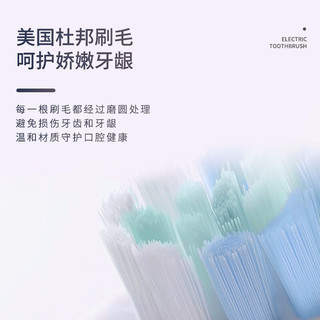 海尔（Haier）电动牙刷成人声波震动牙刷 牙龈护理 情侣电动牙刷 USB充电式亮白牙刷 玛卡粉-HB551-02