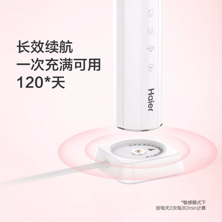 海尔（Haier）电动牙刷成人声波震动牙刷 牙龈护理 情侣电动牙刷 USB充电式亮白牙刷 玛卡粉-HB551-02