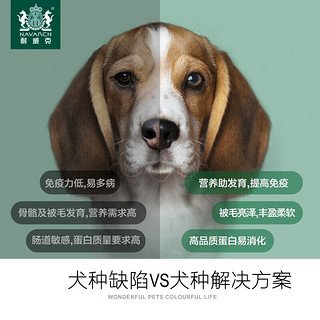 耐威克 全犬种成犬狗粮 泰迪狗粮萨摩耶狗粮比熊金毛阿拉斯加柴犬 营养天然狗粮 鸡肉味5kg