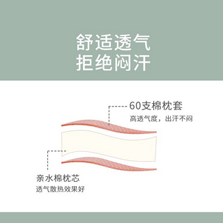 迪士尼(Disney)母婴 婴儿定型枕儿 新生宝宝0-1岁透气幼儿枕头四季通用3个月简雅温馨粉20822019