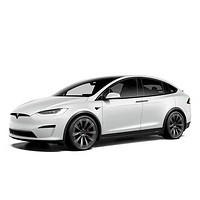 TESLA 特斯拉 Model X 21款 双电机全轮驱动