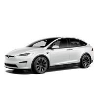 TESLA 特斯拉 Model X 21款 双电机全轮驱动