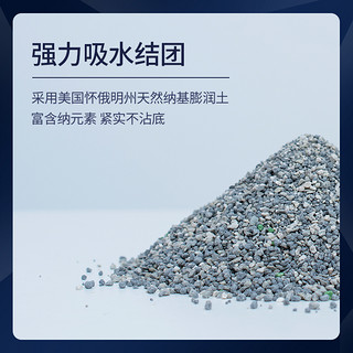 EVER CLEAN 铂钻 宠物活性炭除臭猫砂 11.3kg