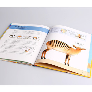 《我的朋友都很怪·Lesser Spotted Animals 你不知道的冷门动物手册》