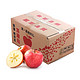  PLUS会员：康乐欣 新疆苹果 含箱9斤（净果8斤以上）　