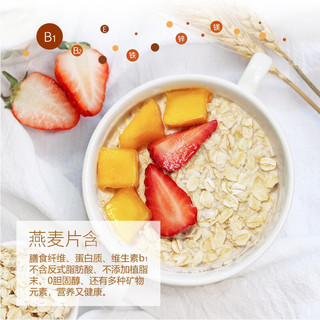 Jiagu 麦片组合装 1.9kg（全麦麦片1000g+全麦麦片900g）