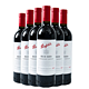 Penfolds 奔富 Bin389 整箱750ml*6瓶装