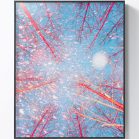 【pica photo】Benoit Paillé 作品 人造森林 2号 33*30 无酸装裱 50版