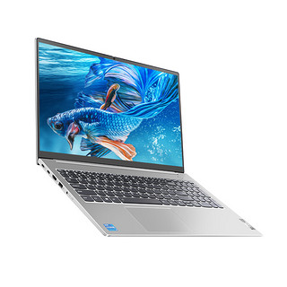 Lenovo 联想 扬天 威6 2021款 十一代酷睿版 14.0英寸 轻薄本 浩瀚银 (酷睿i5-1165G7、MX450、16GB、512GB SSD、1080P、IPS、60Hz）