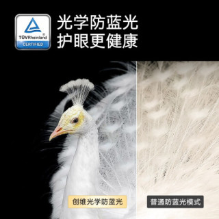 创维(SKYWORTH)65A11 65英寸 4K超高清 智慧屏 防蓝光护眼 远场语音 超薄全面屏 教育电视 2+32G内存