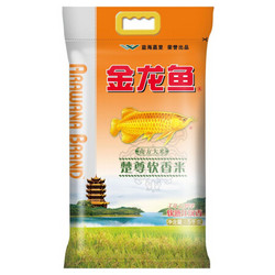 阿卡莎