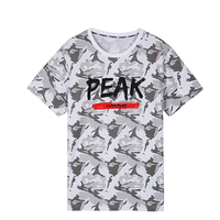 PEAK 匹克 男子运动T恤 DF602131