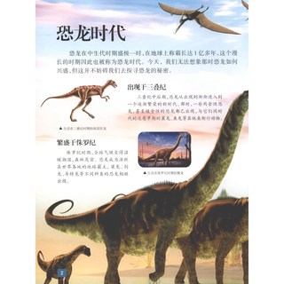 《我的第一套视觉百科·恐龙》