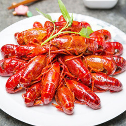 阿浩小龙虾麻辣中号2025只700g