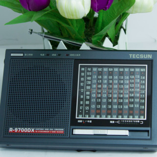 TECSUN 德生 R-9700DX 收音机 铁灰色