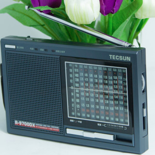 TECSUN 德生 R-9700DX 收音机 铁灰色