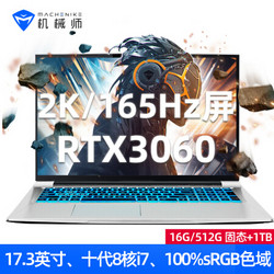 MACHENIKE 机械师 F117-FP 17.3英寸游戏笔记本电脑（i7-10870H、16GB、512GB SSD+1TB、RTX3060）