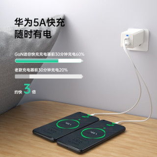 绿巨能 65W充电器氮化镓type-c快充苹果电脑macbook小米华为笔记本电源适配器GaN手机 65W充电器套装 口红款