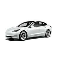 TESLA 特斯拉 Model 3