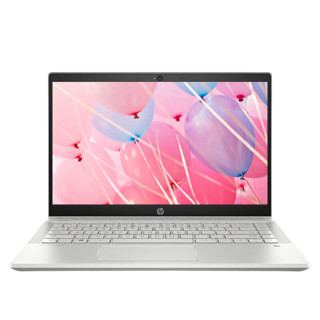 HP 惠普 星14 十代酷睿版 14.0英寸 轻薄本 银色 (酷睿i5-1035G1、MX250、8GB、256GB SSD+1TB HDD、1080P、IPS)