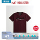 Hollister2021春季新品潮流刺绣 Logo 圆领图案 T 恤 男 308181-1