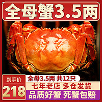 12只特大螃蟹全母3.5两阳澄湖镇大闸蟹海鲜河蟹鲜活水产