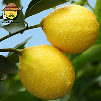 uncle lemon 安岳 新鲜黄柠檬  10个