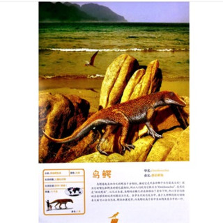 《恐龙100大图鉴》（附赠巨幅招贴）