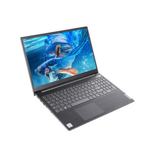 Lenovo 联想 扬天 V340 2020款 14.0英寸 商务本 灰色(酷睿i3-1005G1、R530、4GB、256GB SSD+1TB HDD、1080P、IPS）