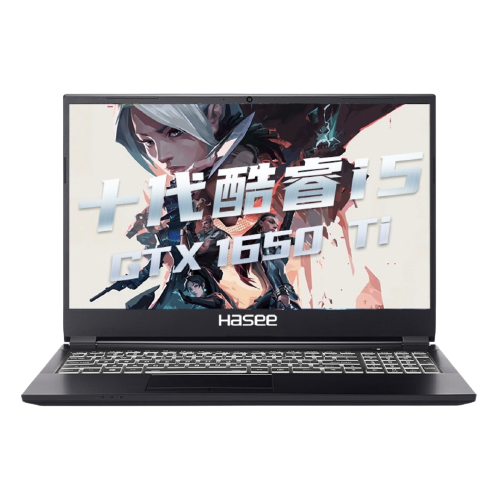 Hasee 神舟战神ZX6Ti-CU5DS 15.6英寸游戏本黑色(酷睿i5-10400、GTX