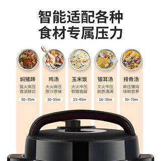 双喜 电压力锅5L家用电饭煲4L智能全自动家用多功能高压电饭锅6L