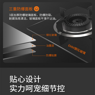 九阳燃气灶煤气灶单灶液化气灶具CZ115（黑色、液化气）