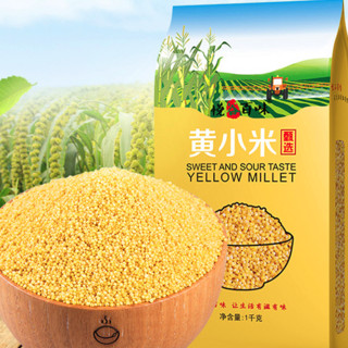 悦谷百味 甄选黄小米 1kg