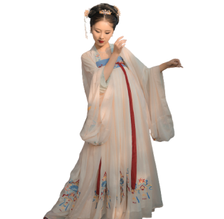 采梦集 唐制汉服 浮生梦 女士上襦下裙大袖衫 S