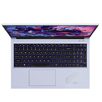 COLORFUL 七彩虹 将星X15 15.6英寸游戏笔记本电脑（i5-10300H、8GB、512GB、GTX1650Ti ）